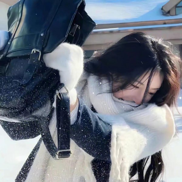盗日者